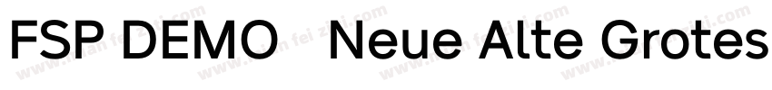 FSP DEMO   Neue Alte Grotesk字体转换